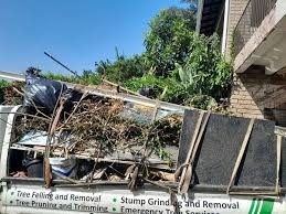 Best Shed Removal  in Kerman, CA